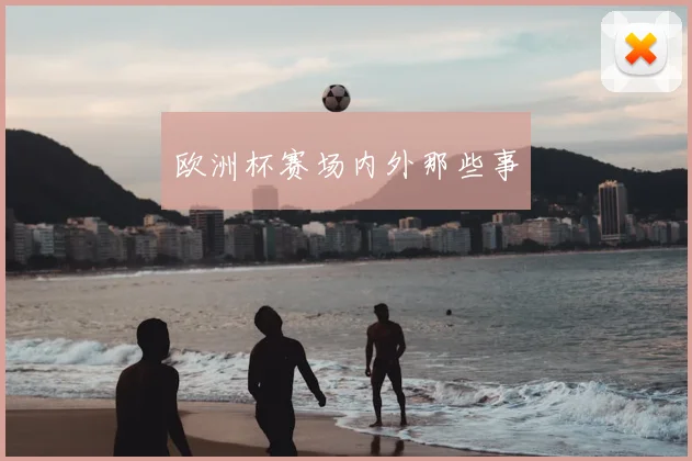 欧洲杯赛场内外那些事