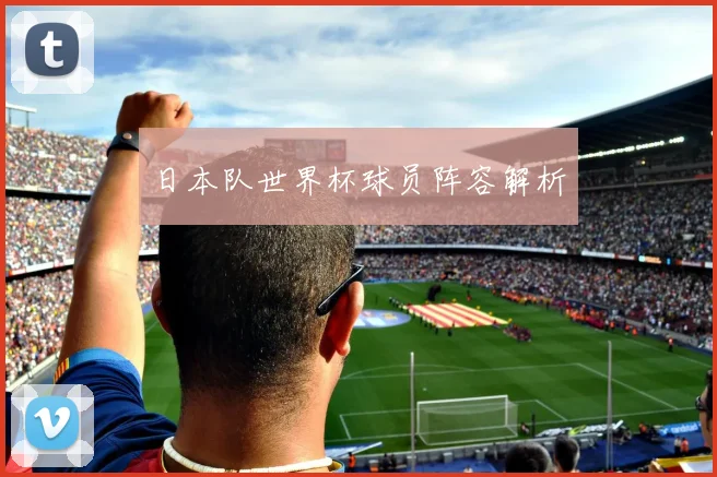日本队世界杯球员阵容解析