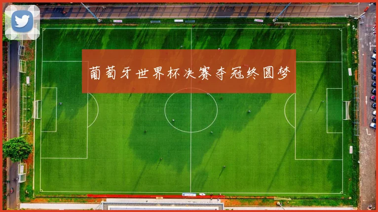 葡萄牙世界杯决赛夺冠终圆梦
