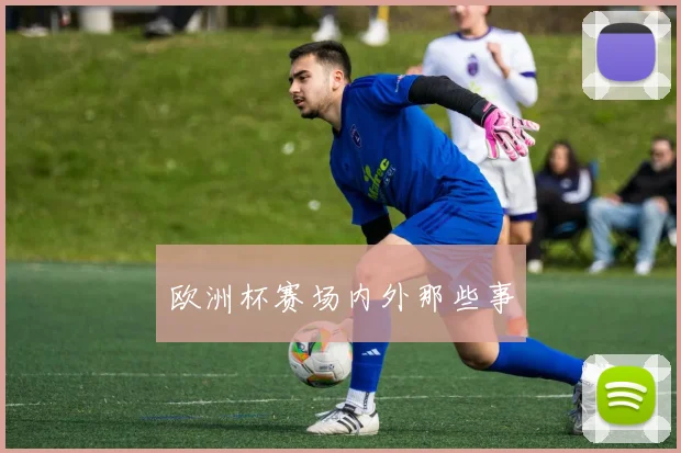 欧洲杯赛场内外那些事