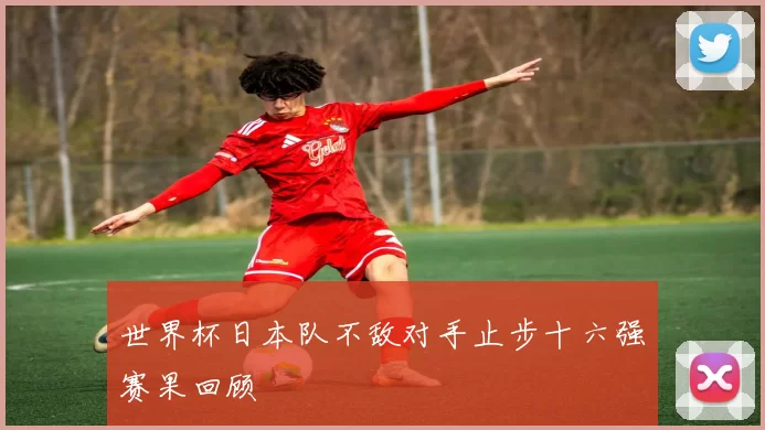 世界杯日本队不敌对手止步十六强赛果回顾